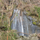 El Yunque’s iconic La Coca falls, on October 4th. Photo Courtesy of Grizelle González